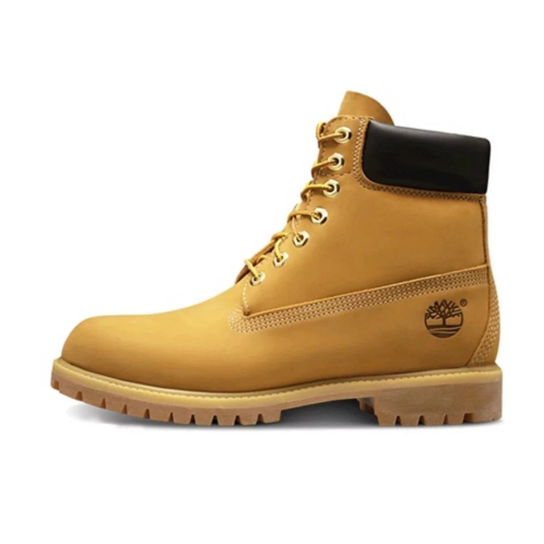 Timberland Boots 6-Inch Lace-Up with Padded Collar — 10061 Huang Gao