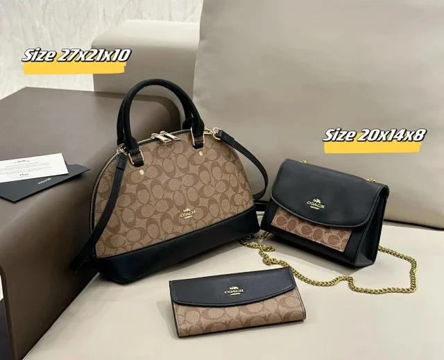 Celine Handbags Triomphe Monogram Handbag Set product detail image 11