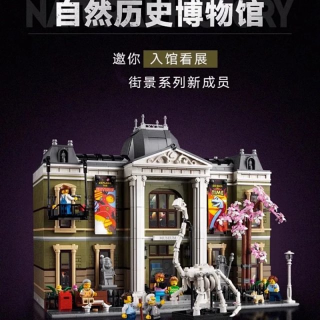 Lego-compatible Natural History Dinosaur Museum building block toy set: seller detail photo 6