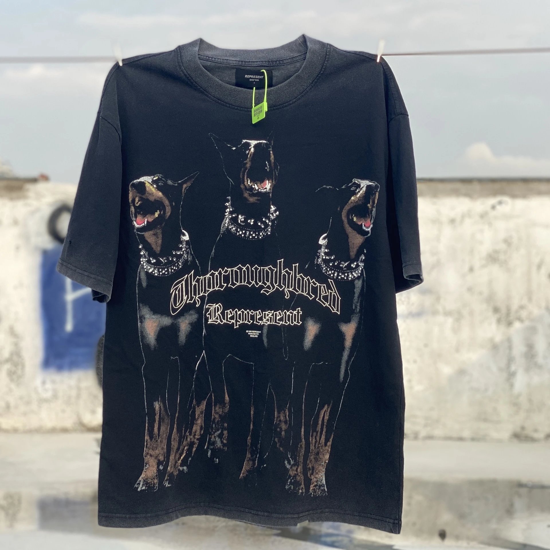Represent Destructive Appetite Crocodile Graphic T-Shirt Black - 17