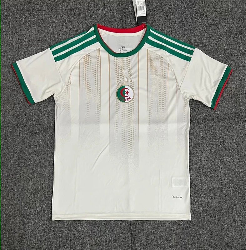 Puma Cameroon National Team 2022 World Cup Home Jersey Green Jersey - 14