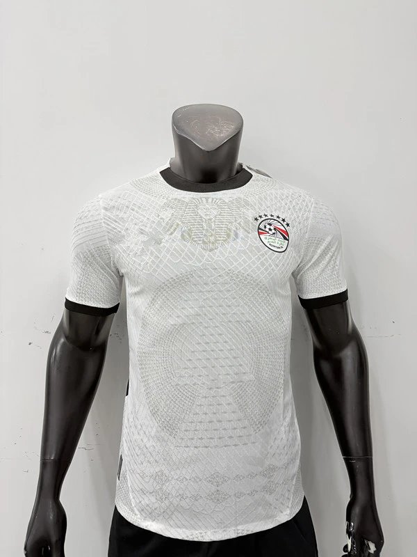 Design Côte d'Ivoire National Team 2023 Home Jersey Orange Jersey - 6