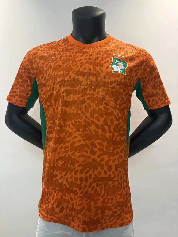 Design Côte d'Ivoire National Team 2023 Home Jersey Orange Jersey - 20