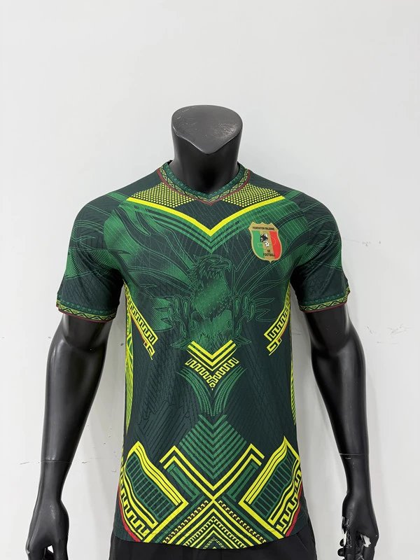 Design Côte d'Ivoire National Team 2023 Home Jersey Orange Jersey - 11