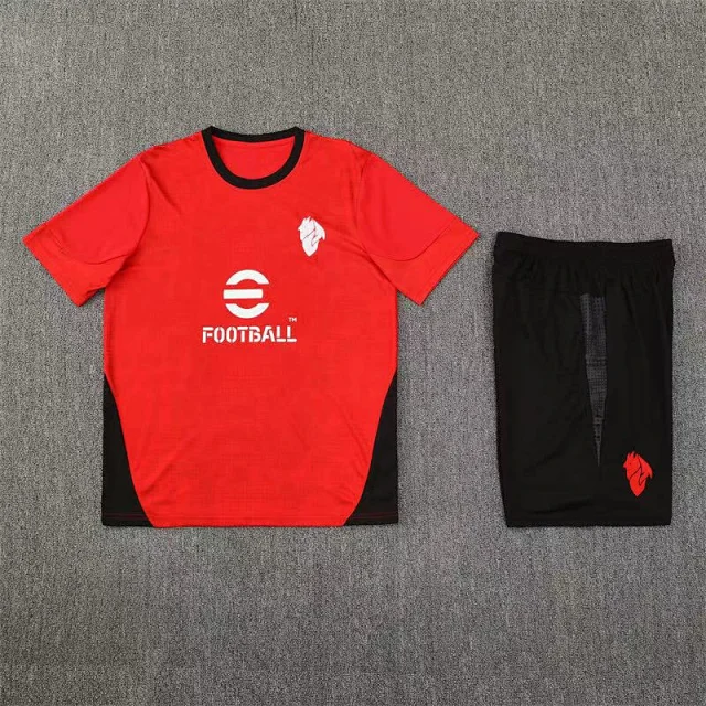 Paris Saint-Germain Football Jerseys Short-Sleeve Training Shirt and Shorts Set product detail image 9
