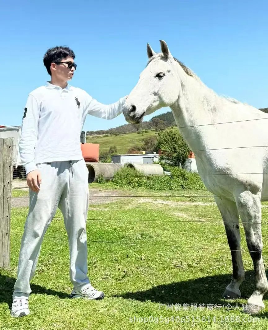 Polo Ralph Lauren Big Pony Long Sleeve Polo White Tops Polo - 22