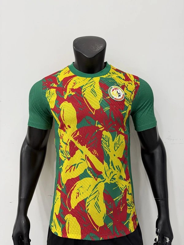 Design Côte d'Ivoire National Team 2023 Home Jersey Orange Jersey - 18