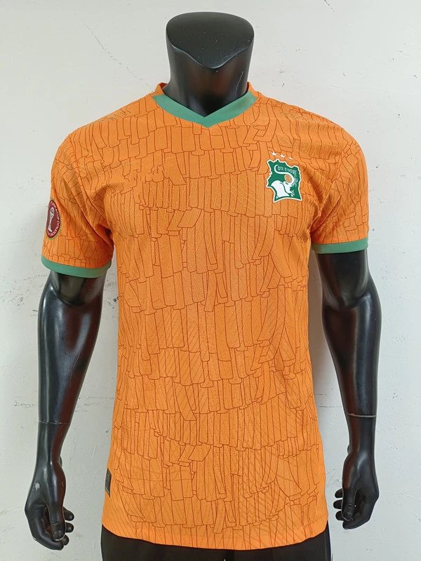 Design Côte d'Ivoire National Team 2023 Home Jersey Orange Jersey - 8