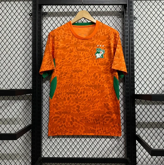 Puma Football Jerseys National Team Short-Sleeve product detail image 9