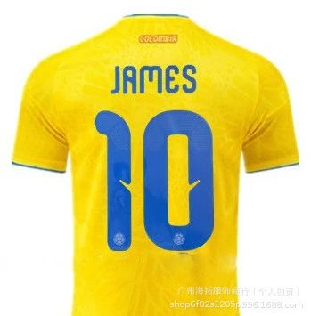 CBF Argentina National Team J. Alvarez #9 Home Jersey 2022 FIFA World Cup Champions Edition Jersey - 37