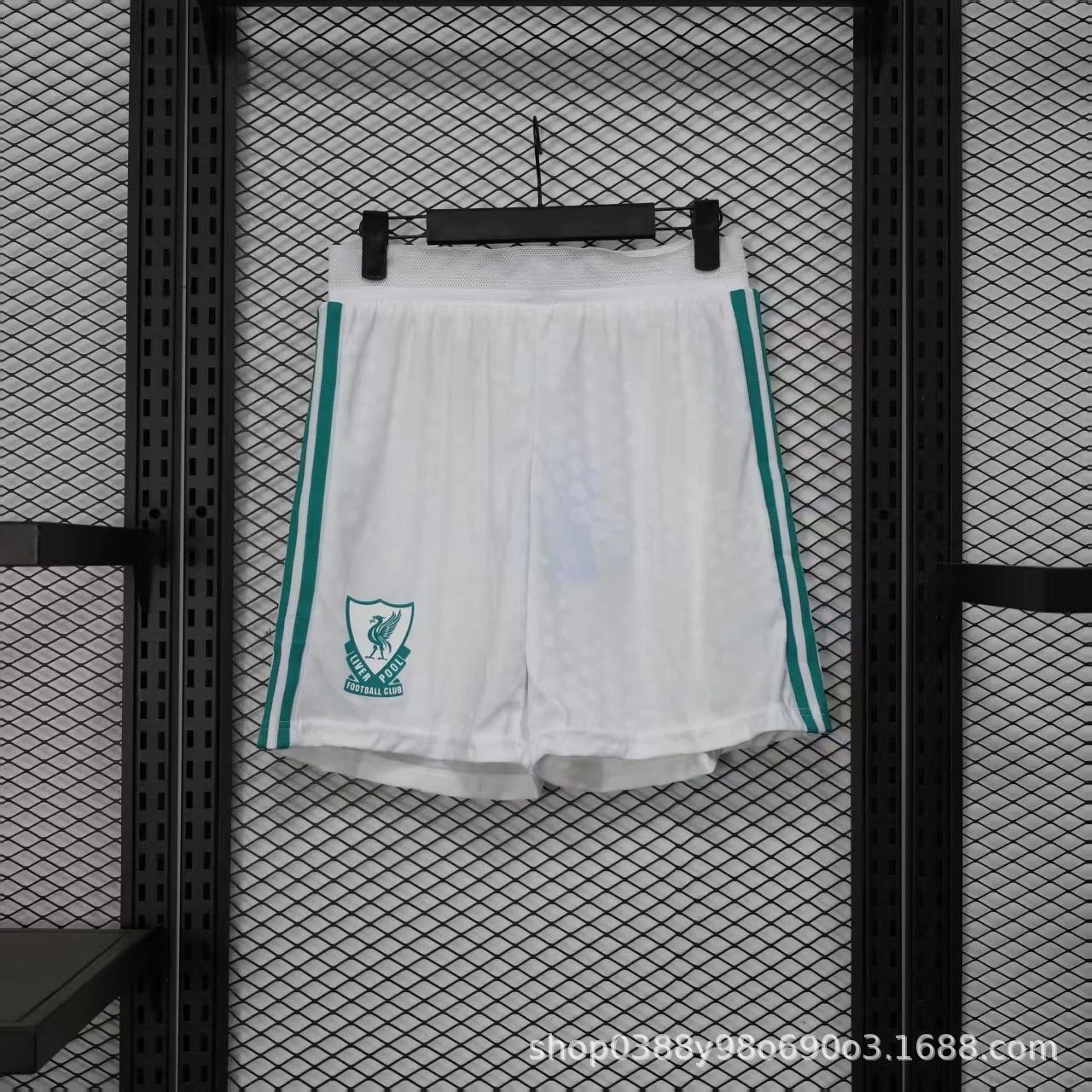 AFA Argentina National Team Away Shorts Navy Blue - 10