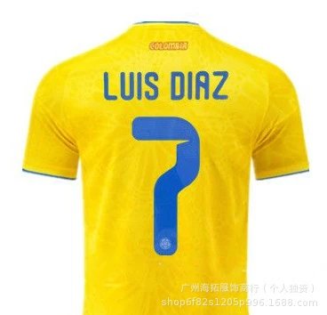CBF Argentina National Team J. Alvarez #9 Home Jersey 2022 FIFA World Cup Champions Edition Jersey - 36