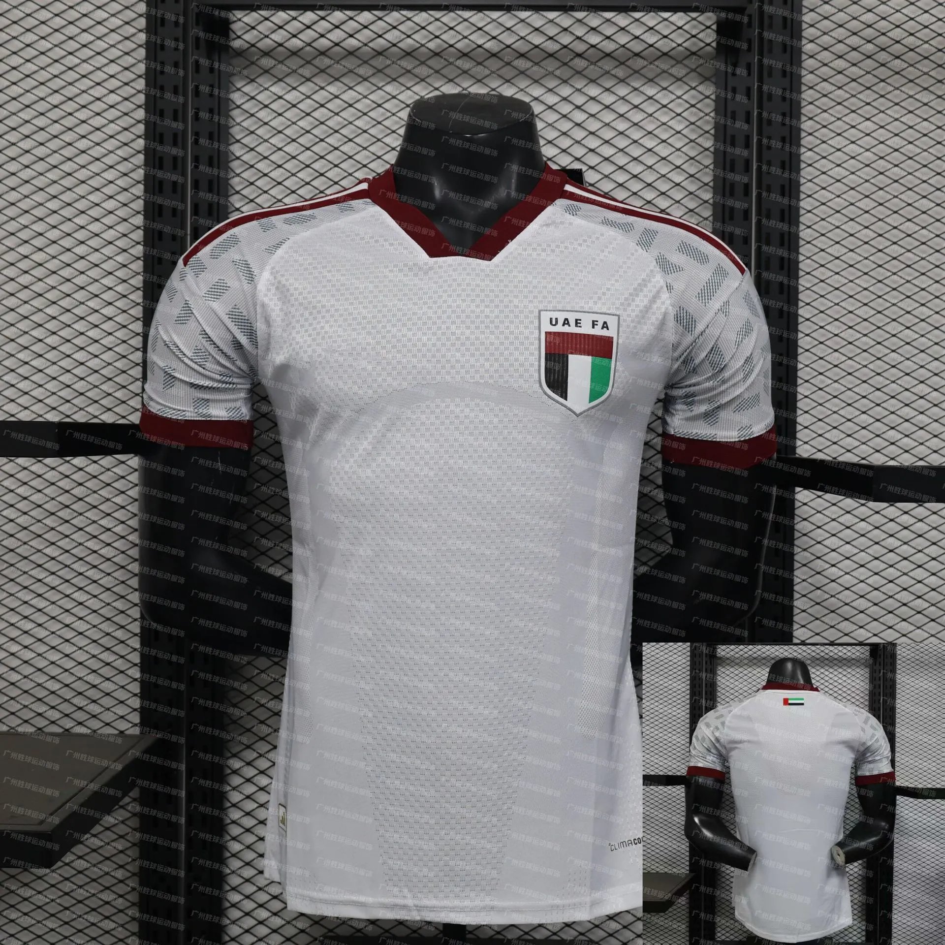Design Wales National Team 2022 Away Jersey White Jersey - 16