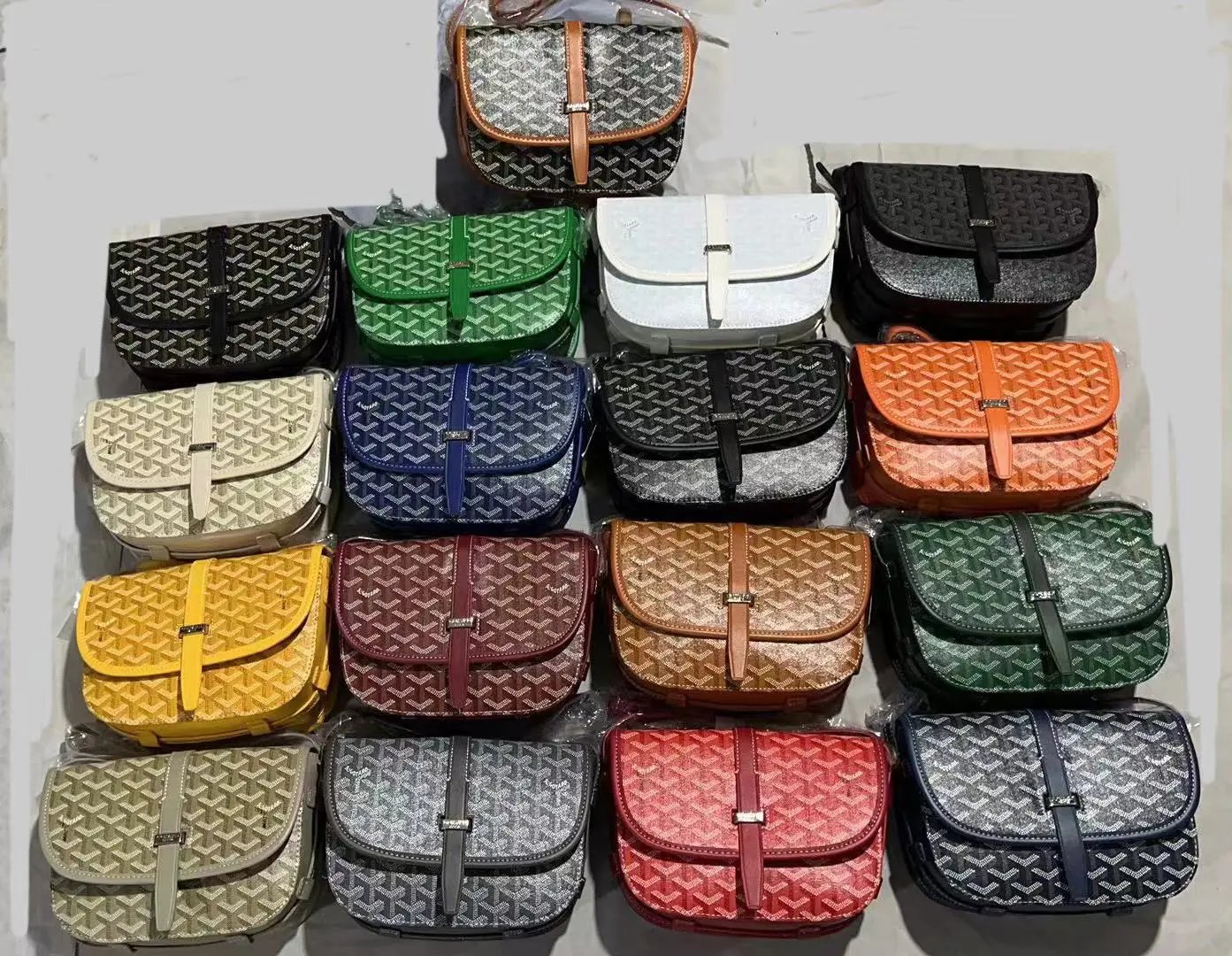 30+ Goyard Bags