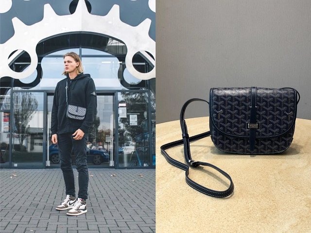 30+ Goyard Bags: seller detail photo 2