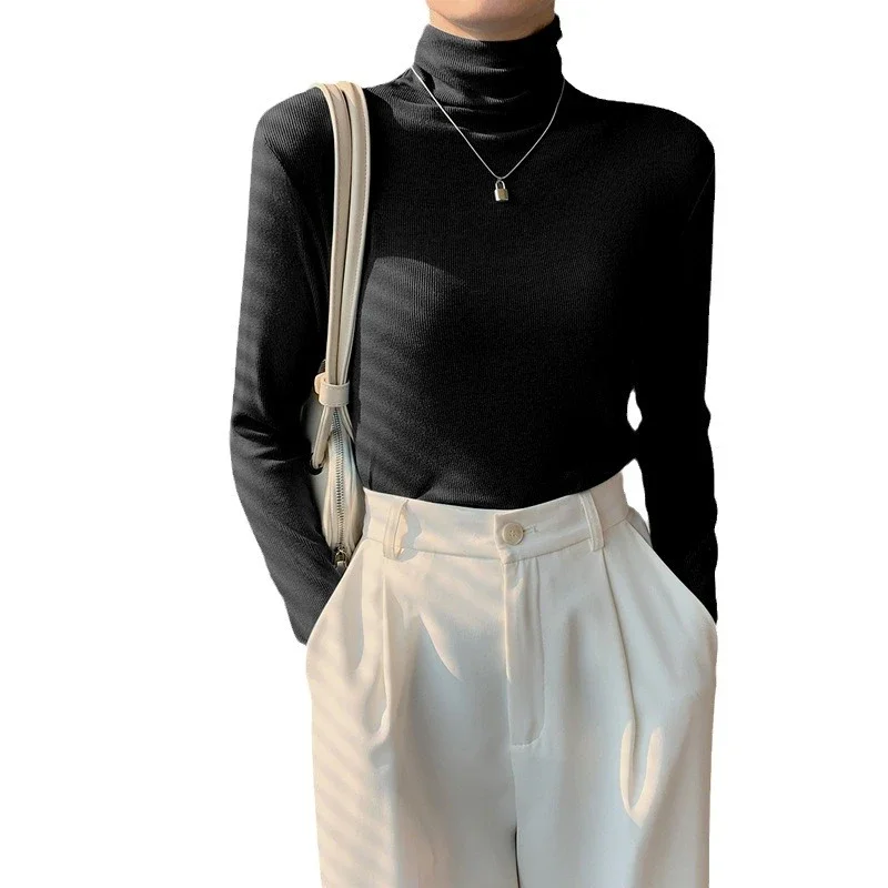 Women's Slim Fit Long Sleeve High Neck Top