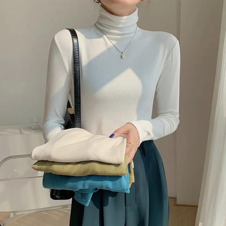Women's Slim Fit Long Sleeve High Neck Top