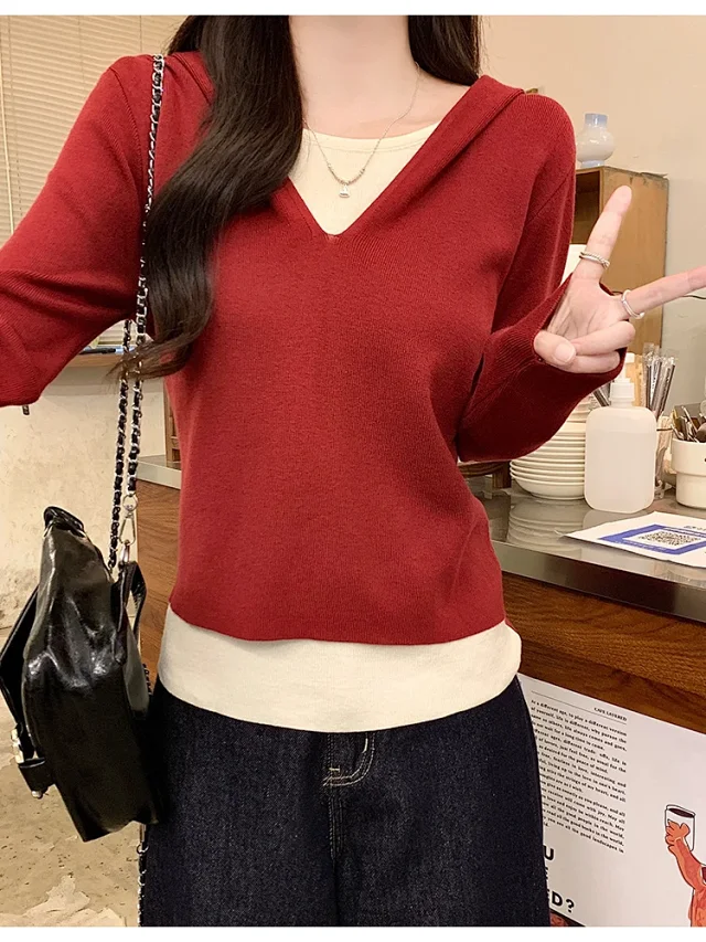 2025 Fall Women's Hooded Patchwork Sweater Detail
