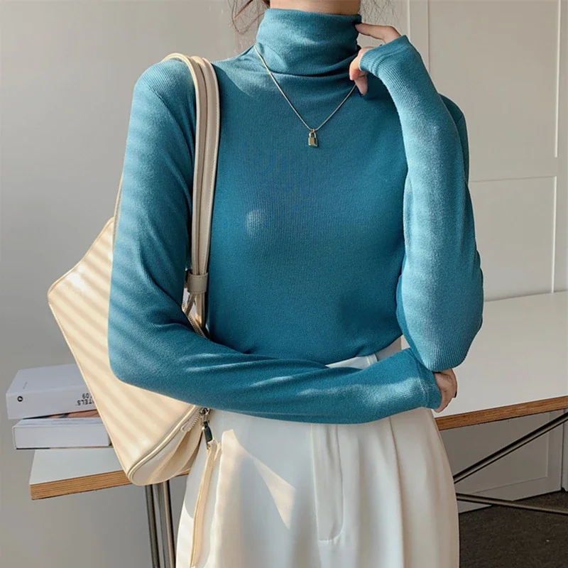 Women's Slim Fit Long Sleeve High Neck Top