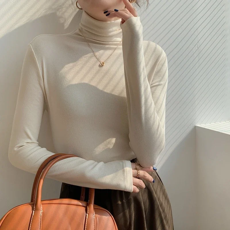 Women's Slim Fit Long Sleeve High Neck Top