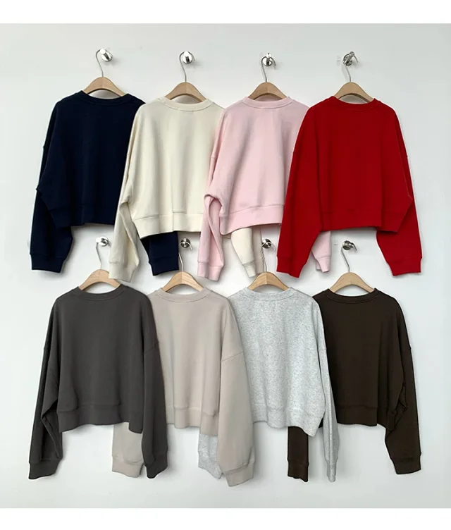 Women's Korean Minimalist Cropped Sweatshirt Detail