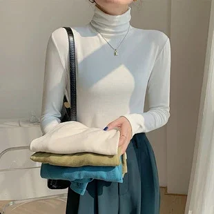 Women's Slim Fit Long Sleeve High Neck Top Detail