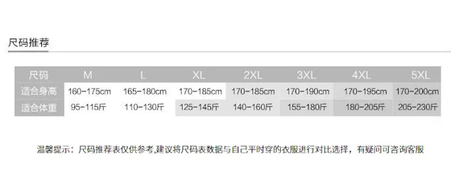 Japanese Men's Plus Size T-Shirt Detail