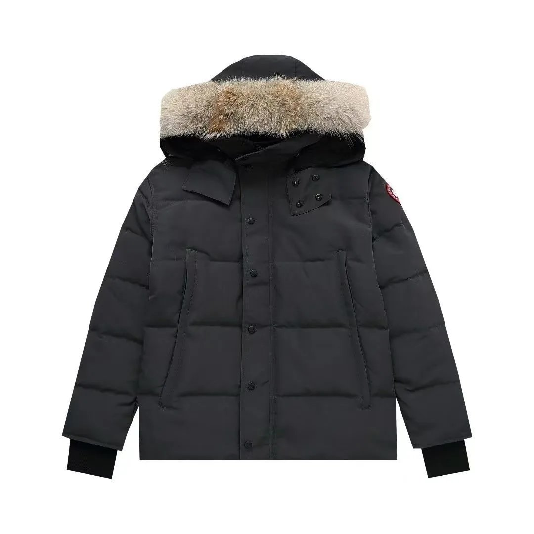 Gray with Wolf Fur