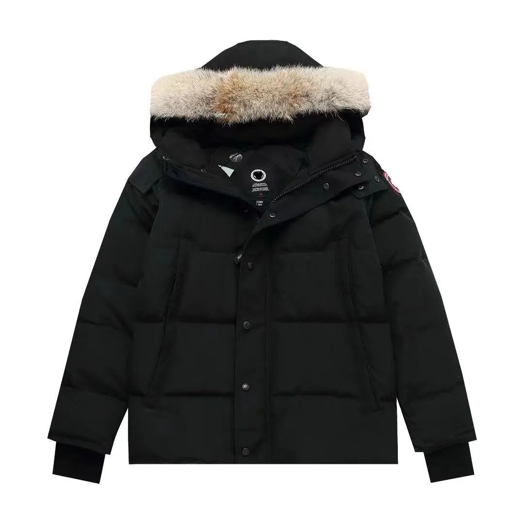 Black with Wolf Fur