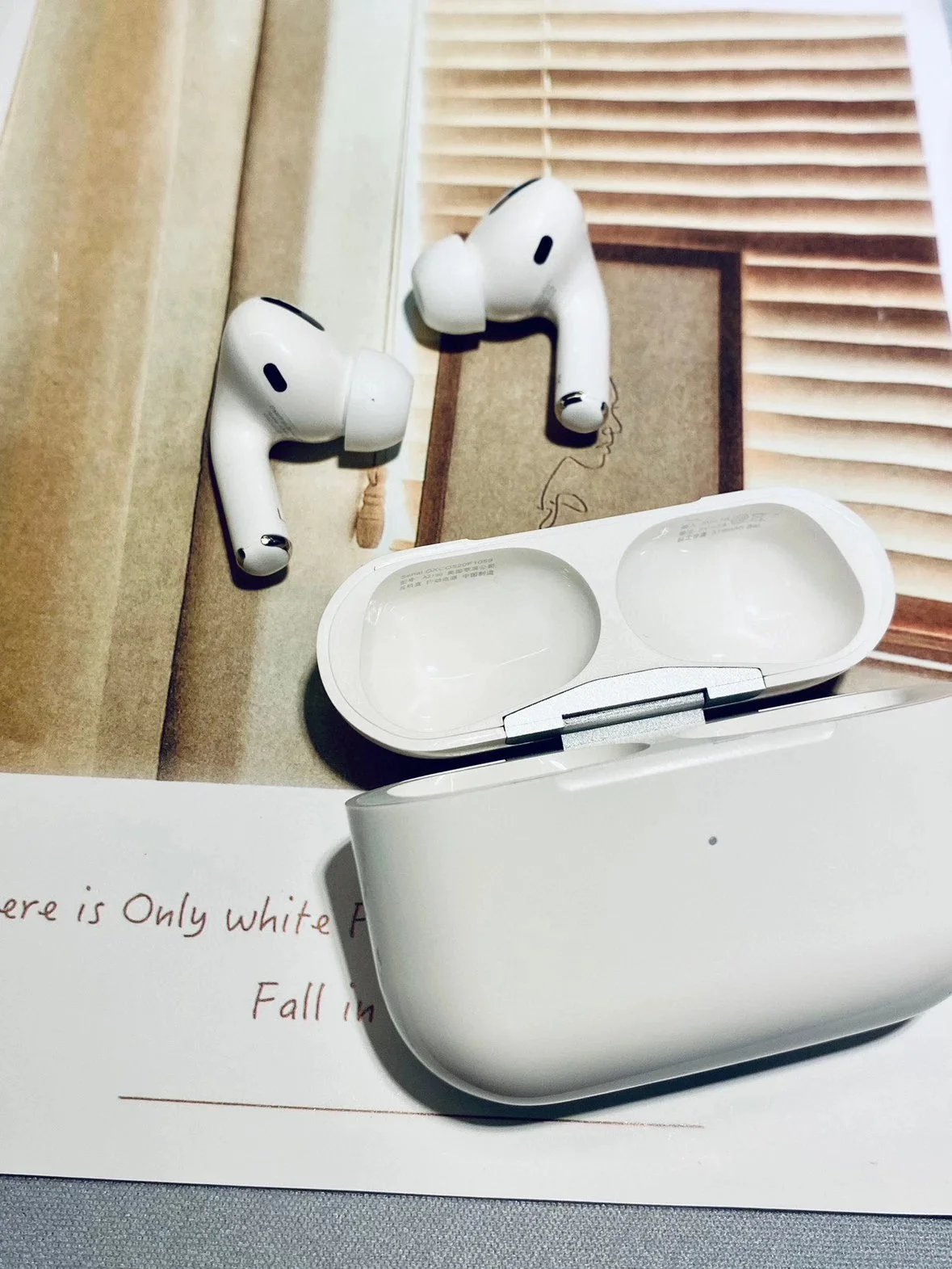 Apple Headphones AirPods Pro image 2