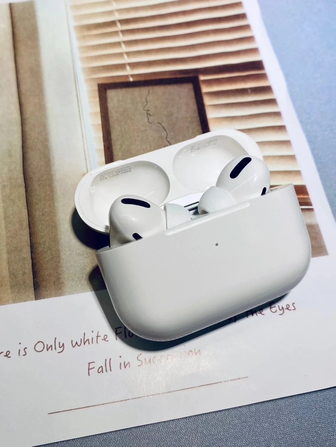 Apple Headphones AirPods Pro image 5