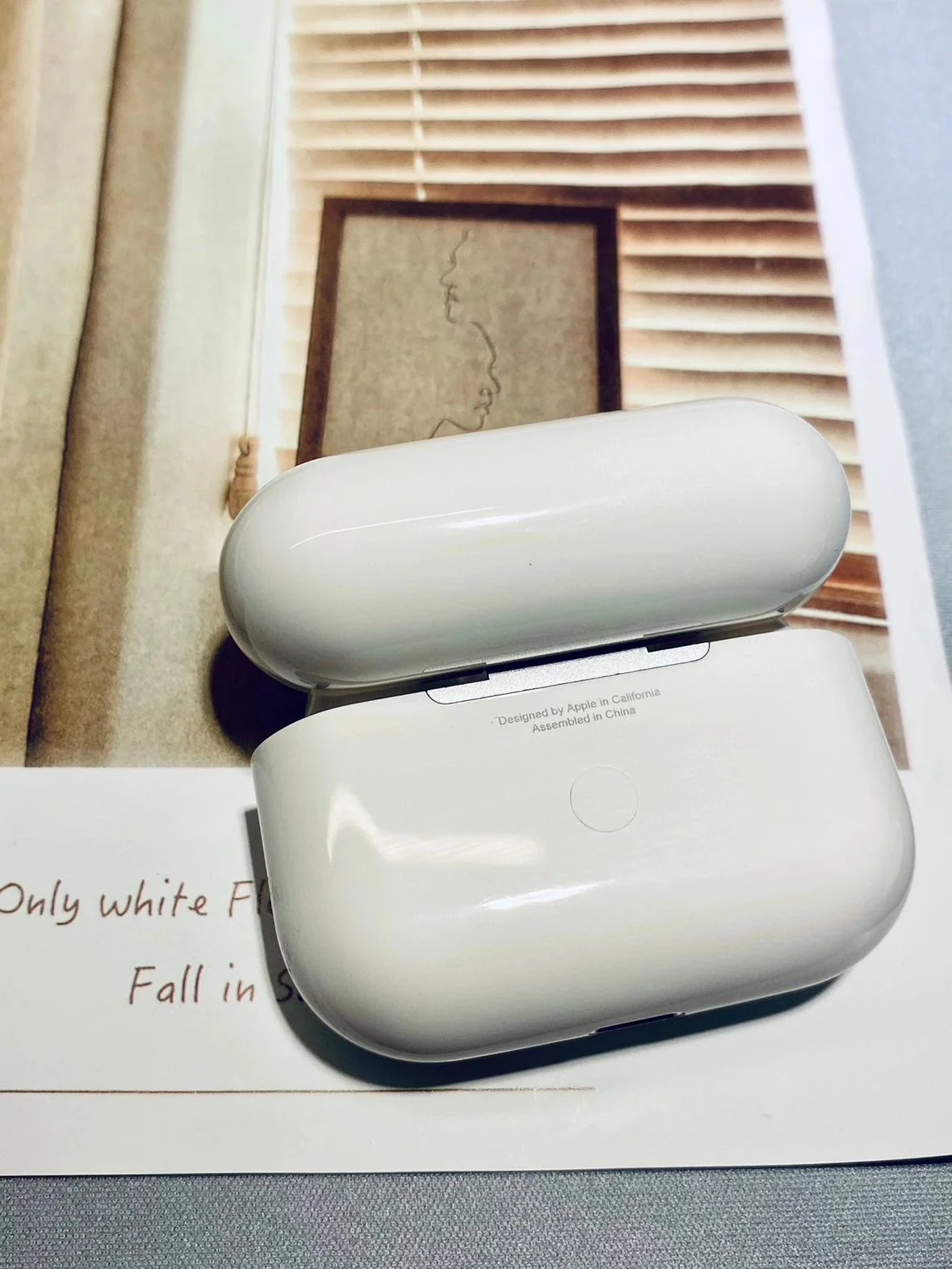 Apple Headphones AirPods Pro image 3