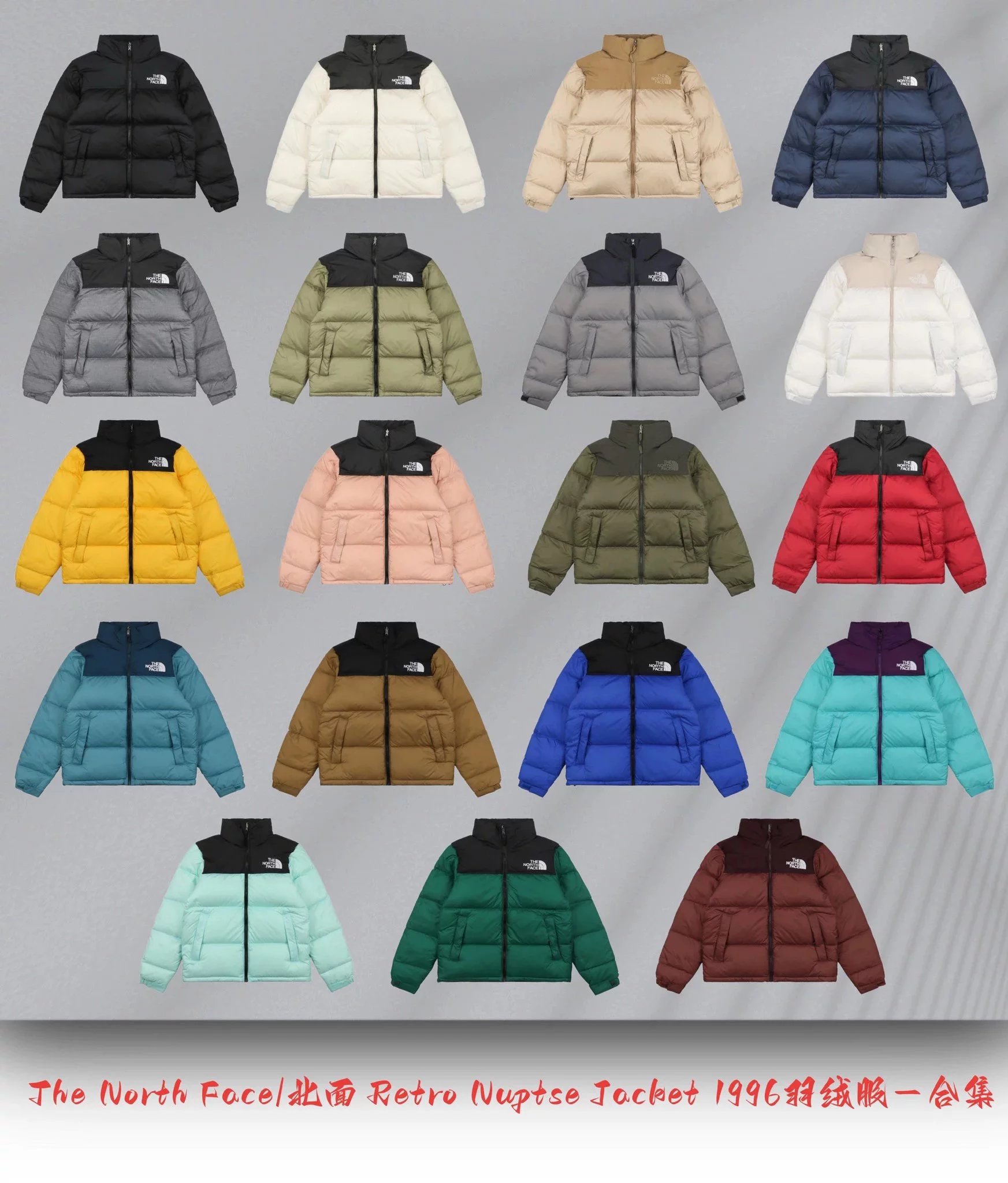 The North face 1996 down jacket