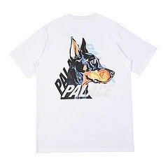 3747 white