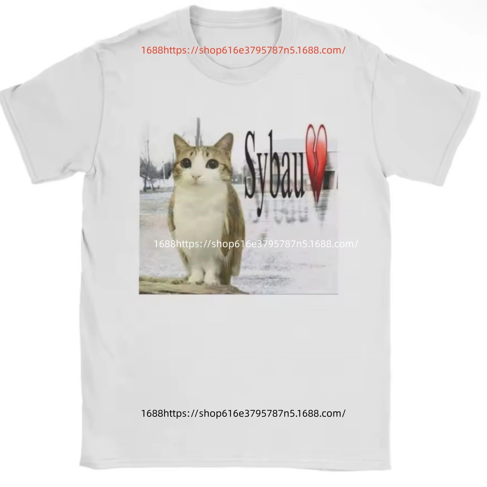 Product view 4