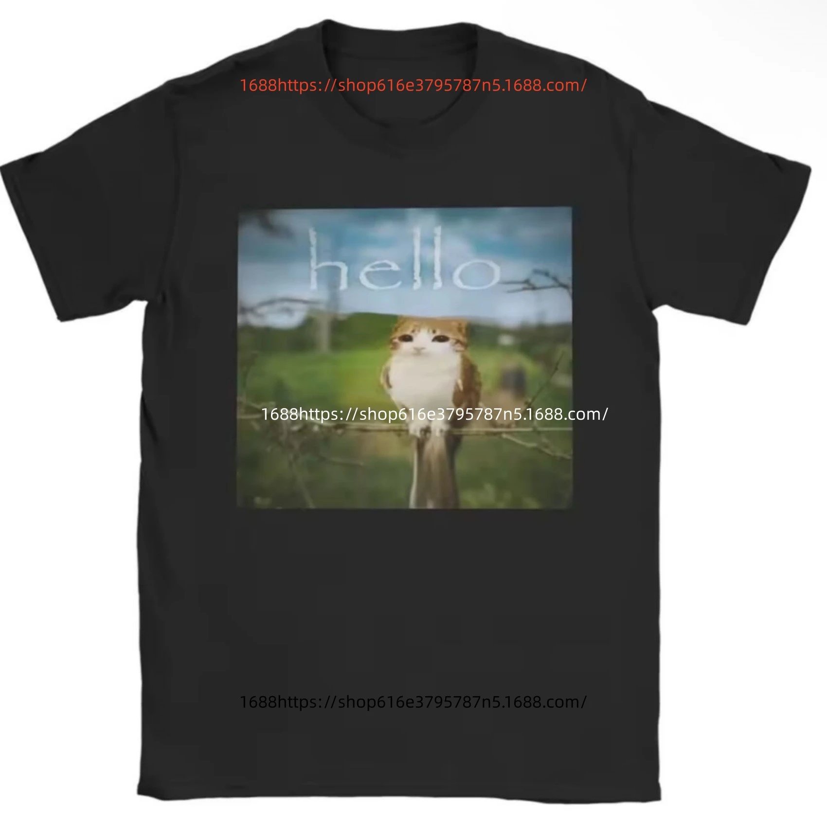 Product view 6