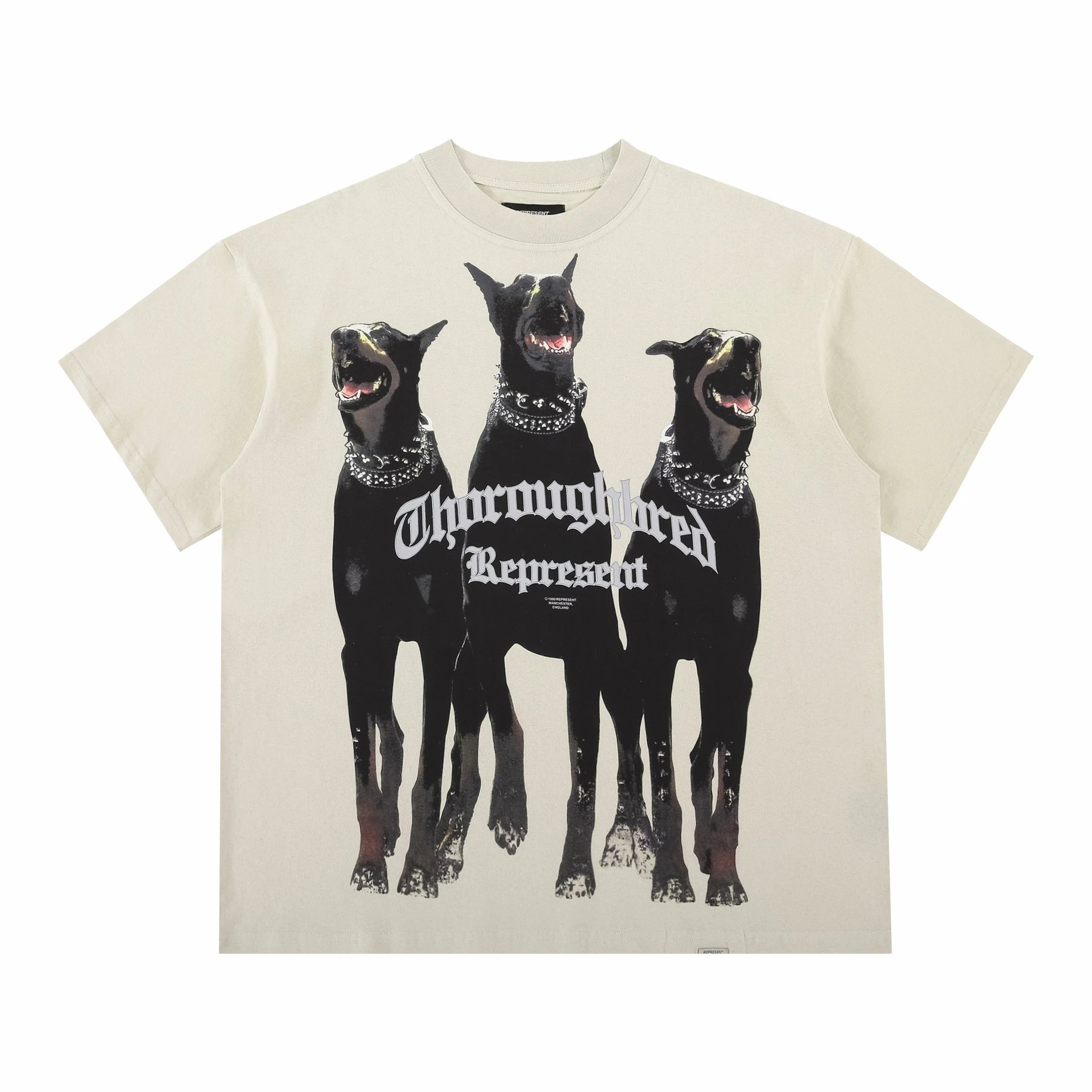 Doberman Inu Apricot