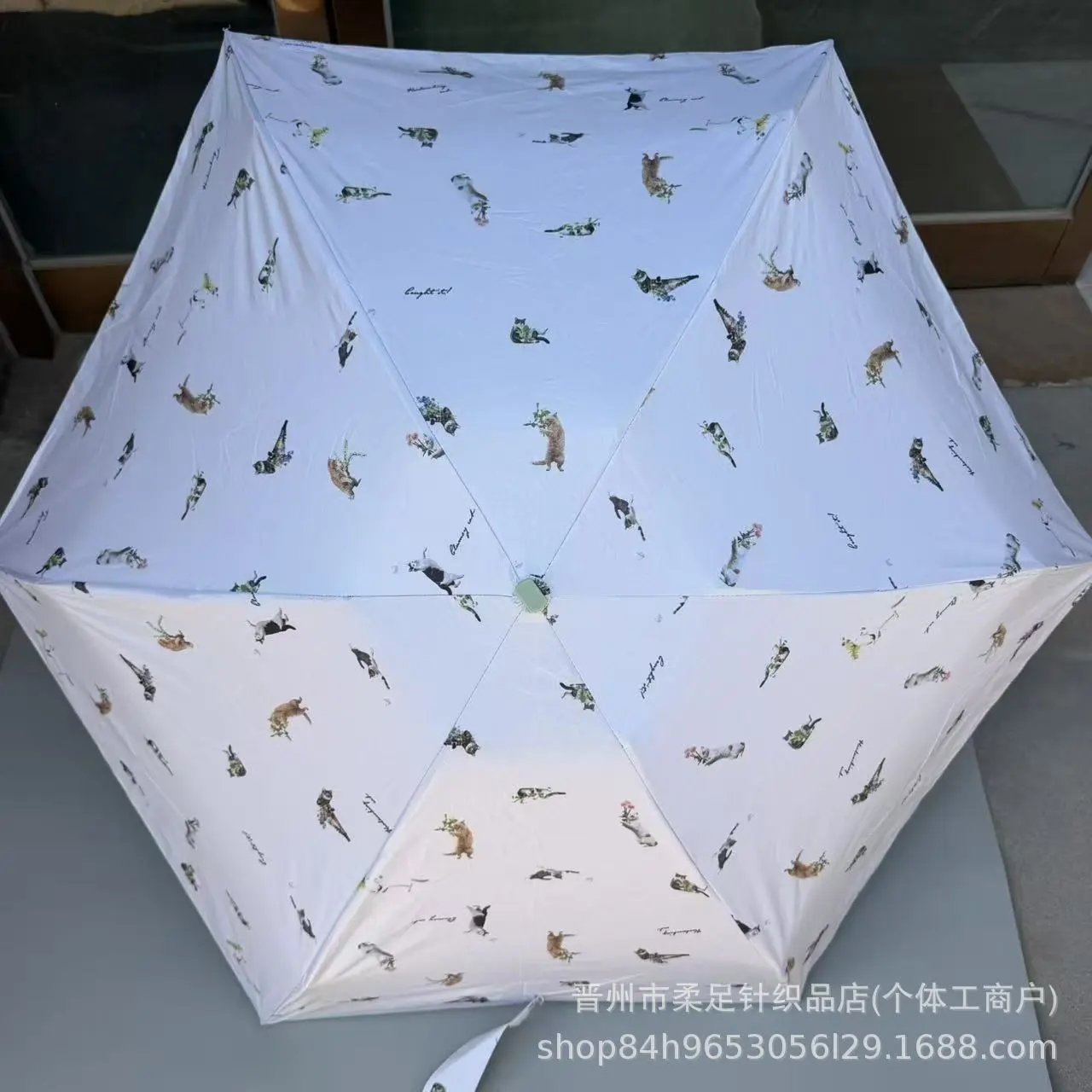 Product view 8