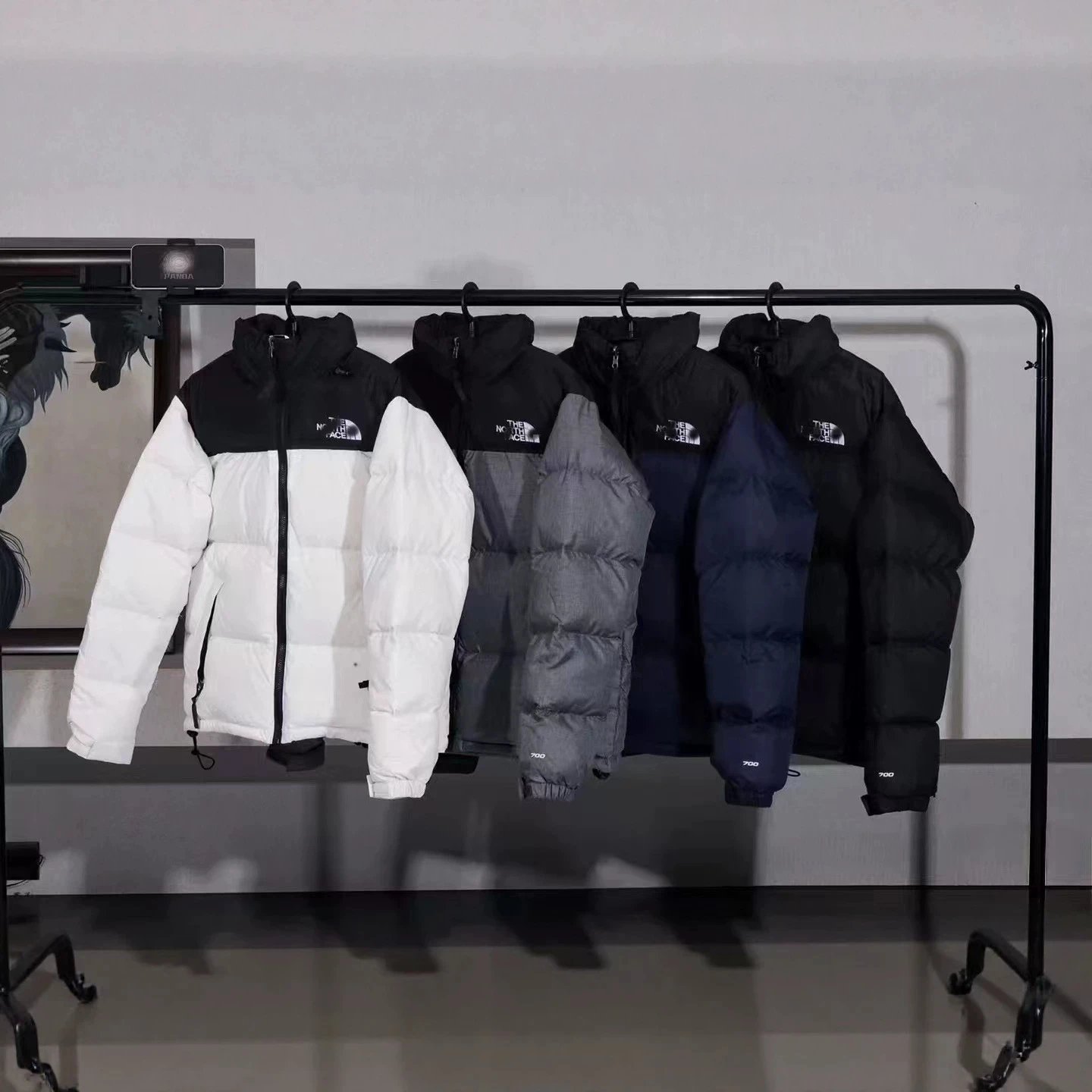 North Face Winter Performance Athletic Jacket