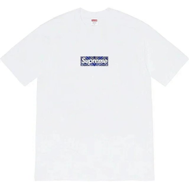 Supreme T-shirt TEE: seller detail photo 9