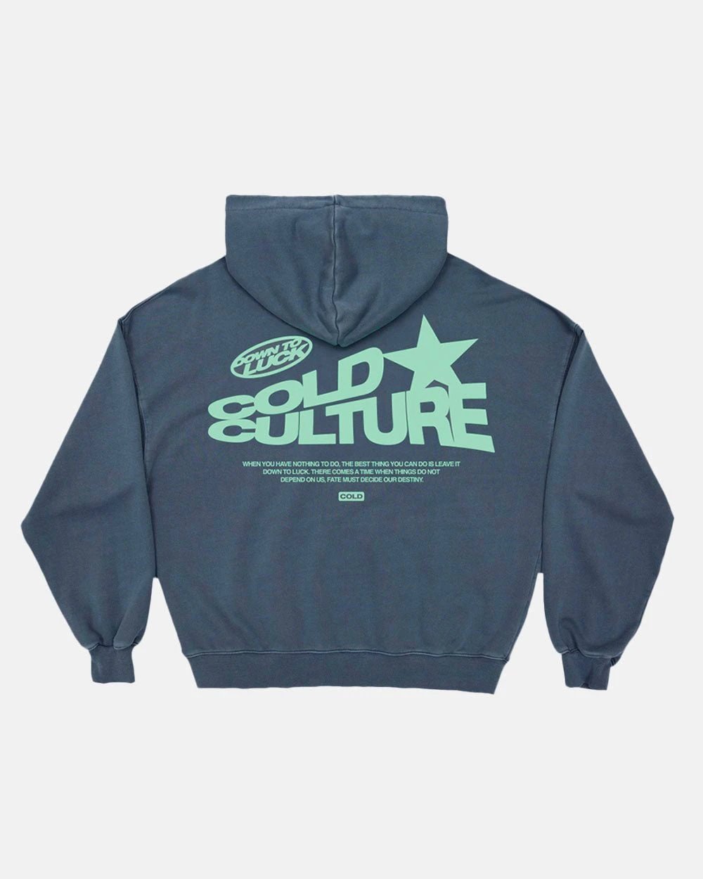 Unbranded Hoodies & Sweatshirts Oversized pullover hoodie with graphic back print — 2