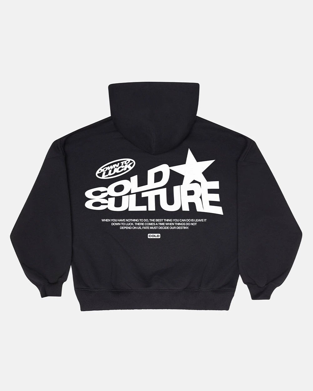 Unbranded Hoodies & Sweatshirts Oversized pullover hoodie with graphic back print — 3