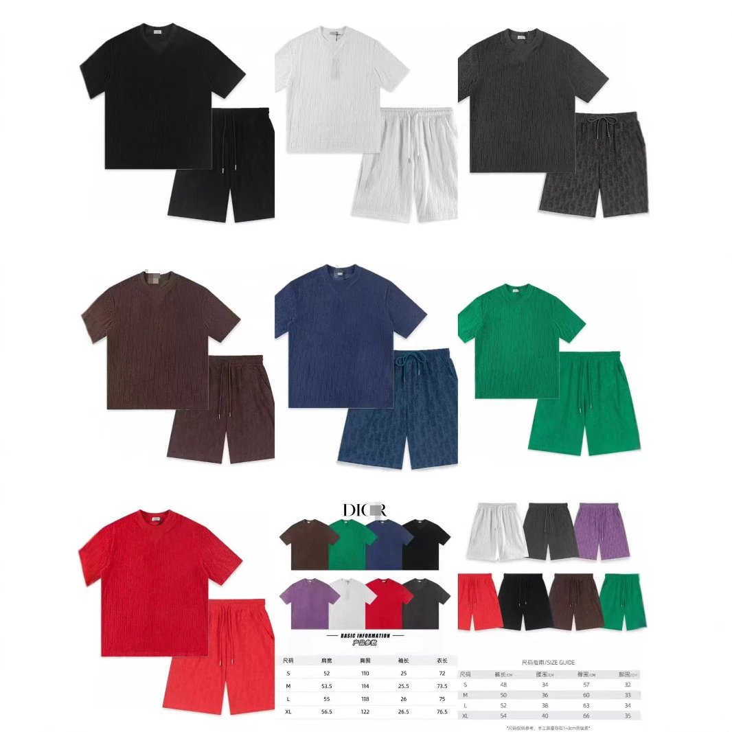 正确版D迪系列夏季新款经典logo刺绣休闲宽松套头短袖T恤外贸潮 - 133448