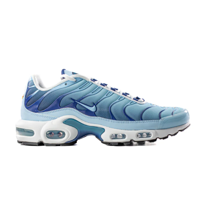 Nike Air Max Plus Blue