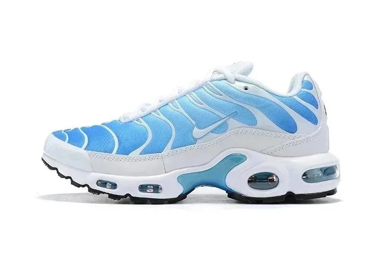 Nike Air Max Plus Black/Blue Sneakers - 37