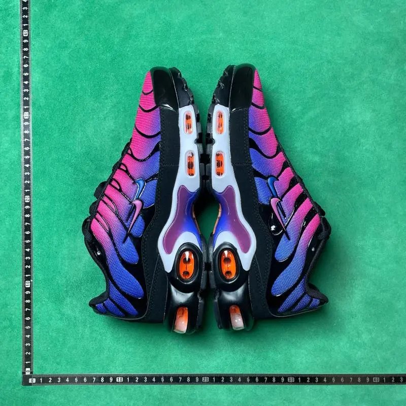 Nike Air Max Plus Retro Low Pink Blue Gradient