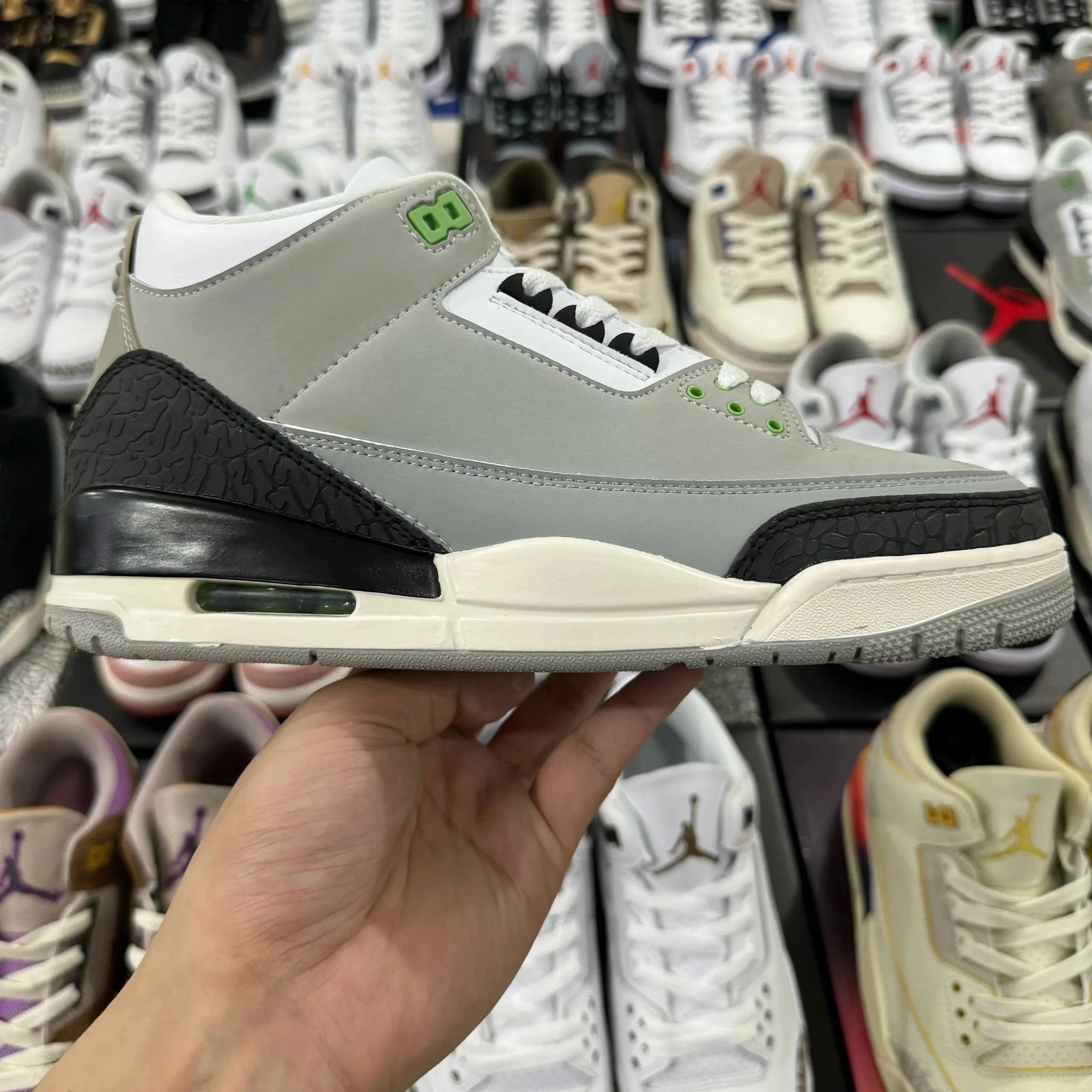 Chlorophyll