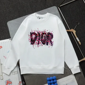 Dior Dior Hoodie