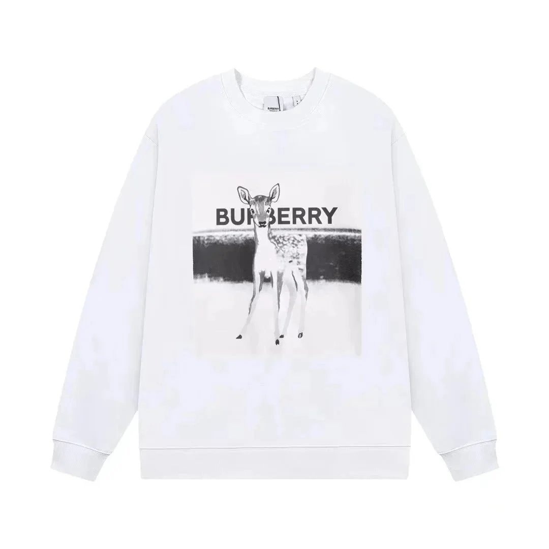 Burberry sweatshirt - 5/37