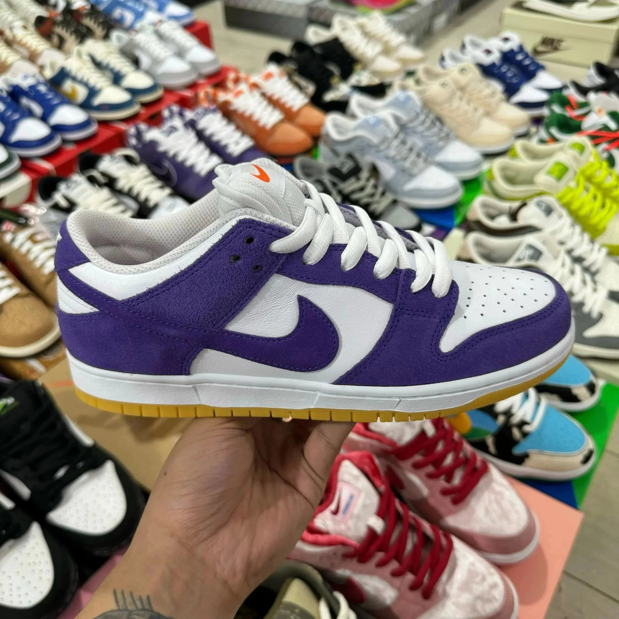 Purple white SKU image